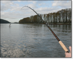 Fraser_River_Jump